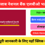Punjab National Bank HindiNewsInsider Jobhindinewsinsider