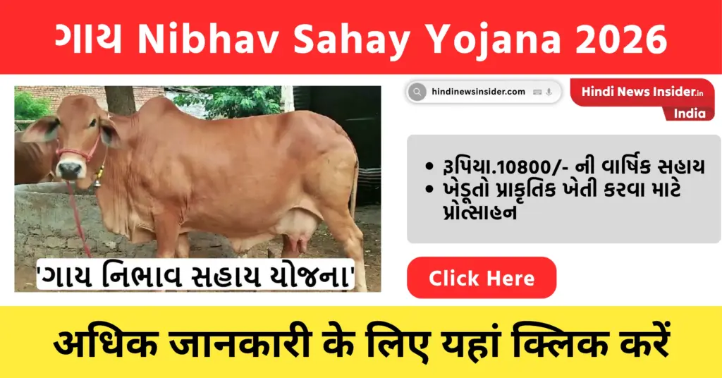 Gay Nibhav Sahay Yojana 2026 hindinewsinsider com hindinewsinsider .in hindinewsinsider hindinewsinsider.in