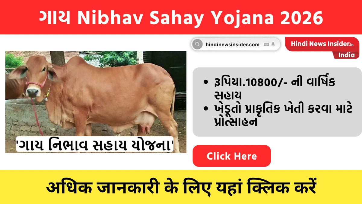 Gay Nibhav Sahay Yojana 2026 hindinewsinsider com hindinewsinsider .in hindinewsinsider hindinewsinsider.in